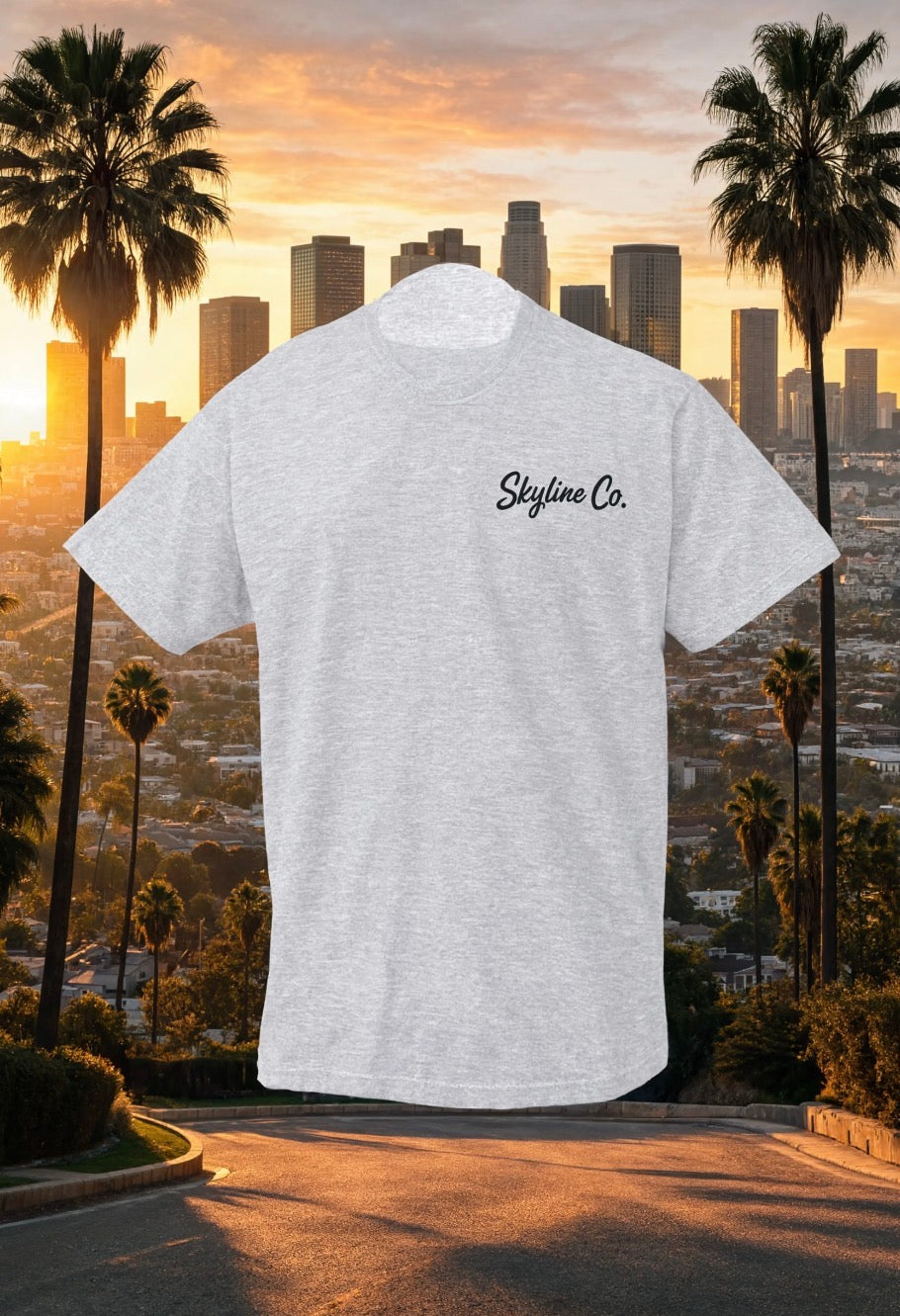 Skyline Co. (Grey-Black) Tee