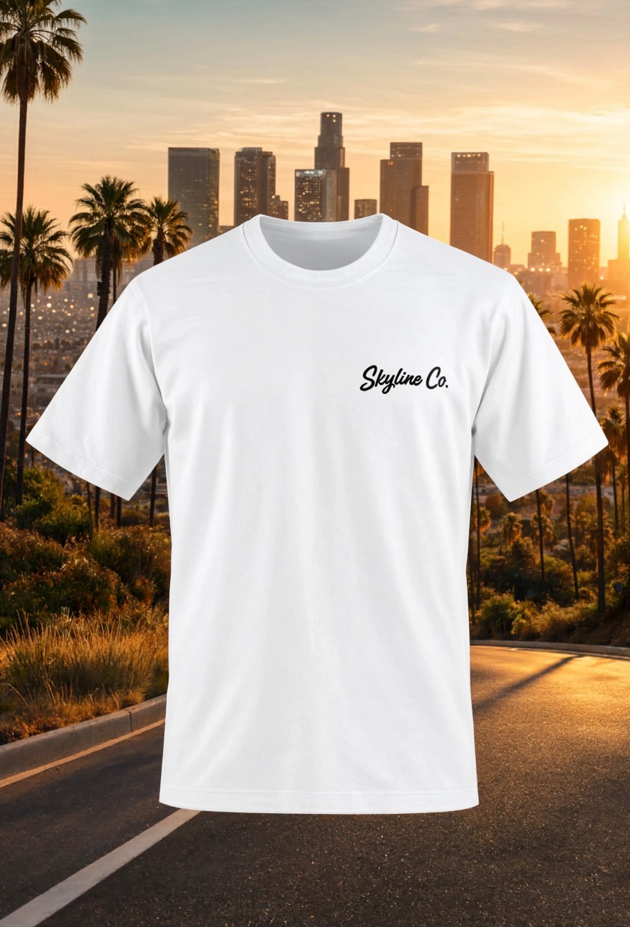 Skyline Co. (White-Black) Tee